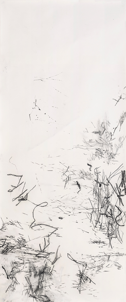 Force Field: Drawings by Christine Hiebert at the Hudson River Museum